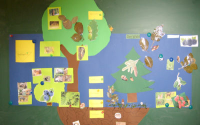 Projektmonat Wald